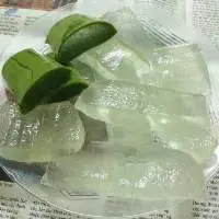 Aloe Vera Cubes No Sugar