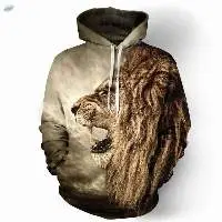 Fashion Hoodies For Boys