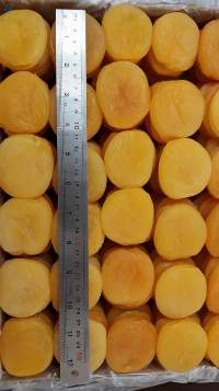 Dried Apricot