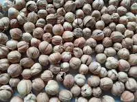 Cardamom