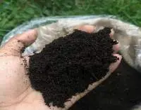 Vermicompost