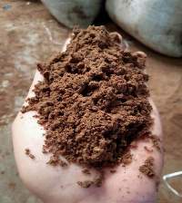 Palm Kernel Meal