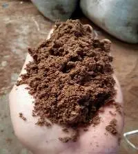 Palm Kernel Meal