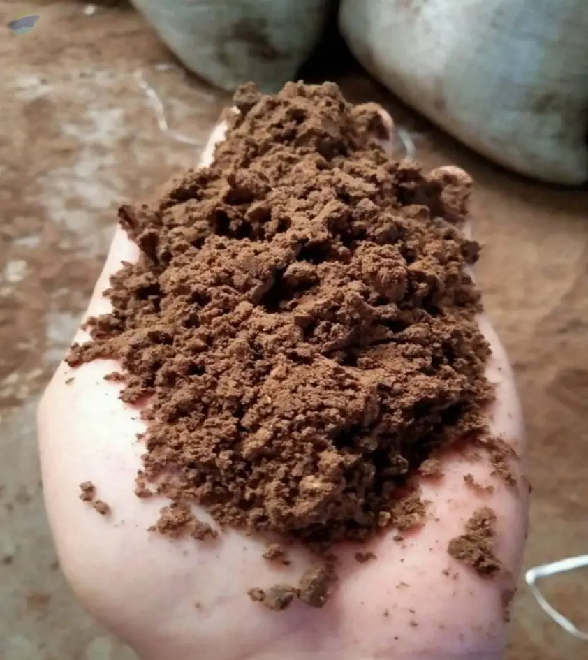Palm Kernel Meal
