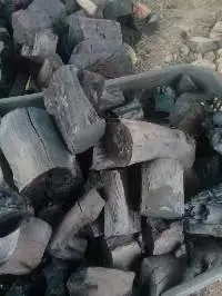 Wood Charcoal