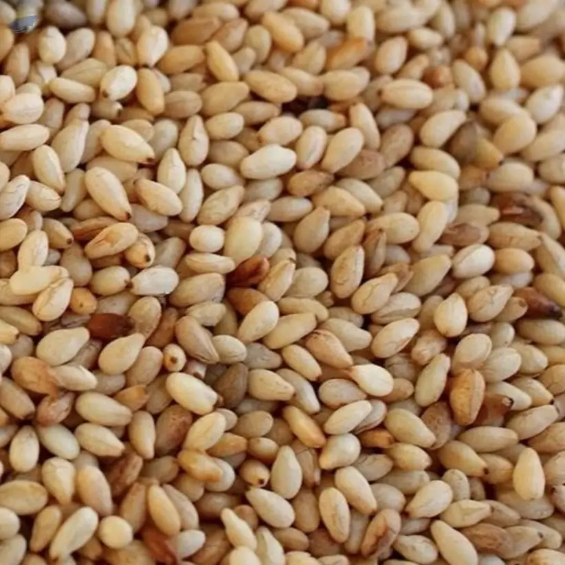 Sesame Seeds