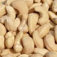 Cashew Nuts