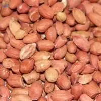 Pea Nuts