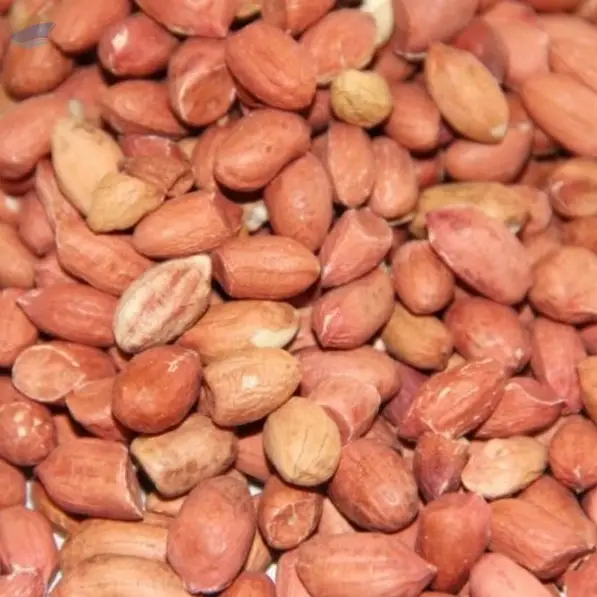 Pea Nuts
