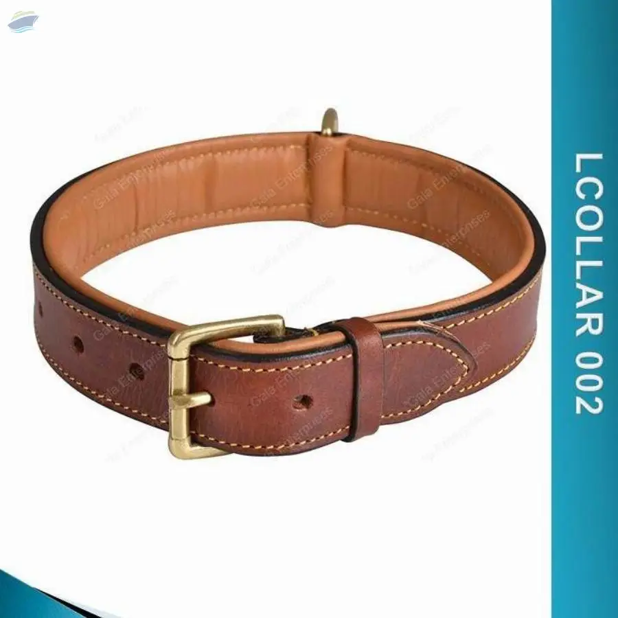 Leather Dog Collar