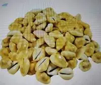 Cowrie