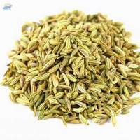 Fennel Seeds