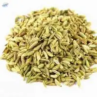 Fennel Seeds