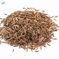 Cumin Seeds