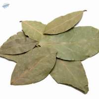 Bay Leaves