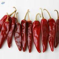 Kashmiri Chilli