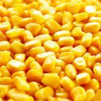Sweet Corn