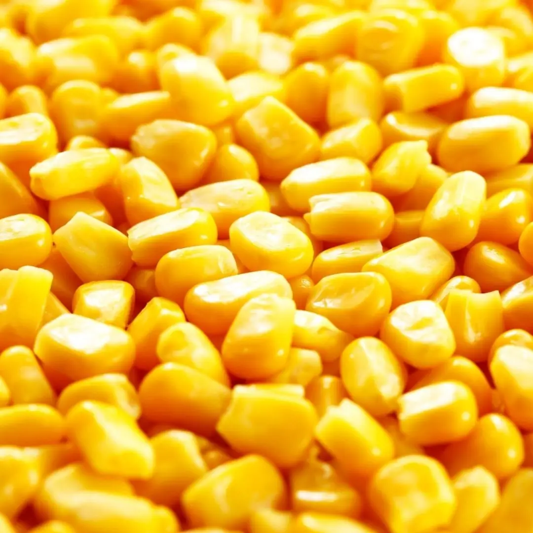 Sweet Corn