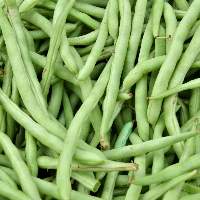 French Beans
