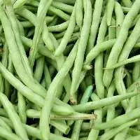 French Beans