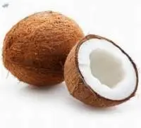 Coconut