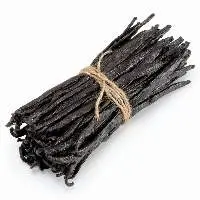 Vanilla Beans (Vanilla planifolia)