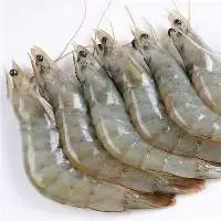 Prawns (Tiger & Vannamei)