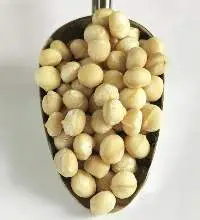 Macadamia Nuts