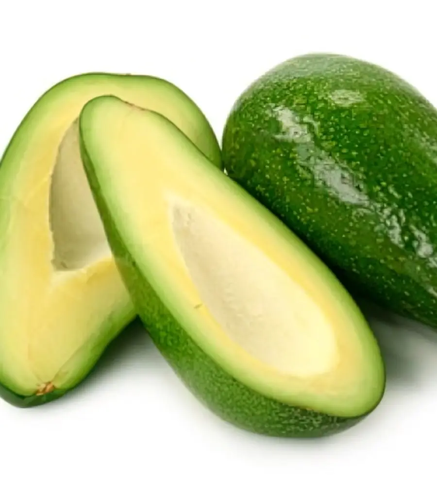 Avocado Fuerte