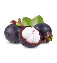 Mangosteen