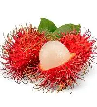 Rambutan