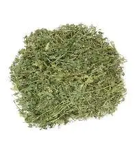 Alfalfa Hay