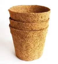 Coir Pots