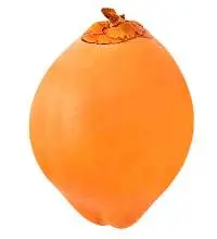 Orange King Coconut
