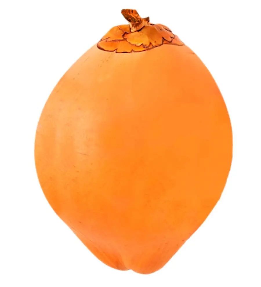 Orange King Coconut