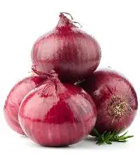 Big Onion