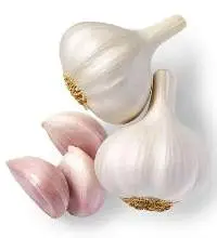 Fresh Garlic