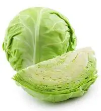 Cabbage