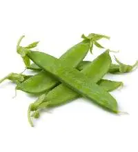 Snow Peas