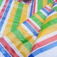 PE Tarpaulin (Multi Color)