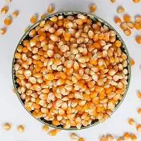 Corn (Field Corn)