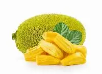 Jackfruit