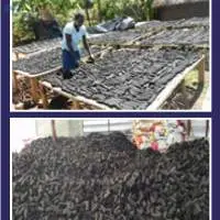 Charcoal Briquettes