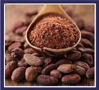 Cocoa Extraction