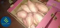 Fresh Sweet Potato