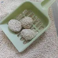 Eco Friendly Tapioca Cat Litter