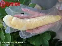 Baked Fish Maw