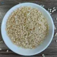 Bio Plastic Resin