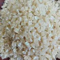 Bio Resin From Tapioca Starch