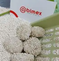 Cassava Cat Toilet Sand